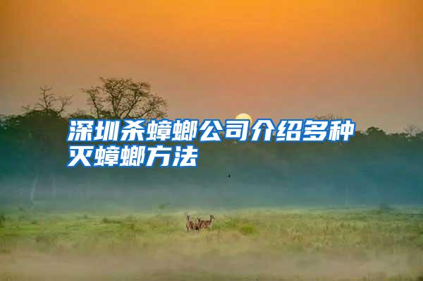 深圳殺蟑螂公司介紹多種滅蟑螂方法