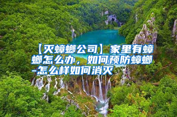 【滅蟑螂公司】家里有蟑螂怎么辦,如何預防蟑螂-怎么樣如何消滅