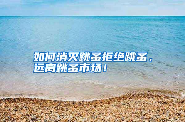 如何消滅跳蚤拒絕跳蚤,遠(yuǎn)離跳蚤市場!