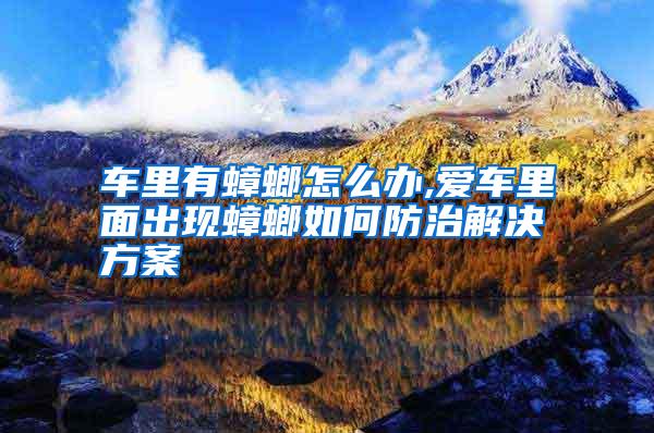 車?yán)镉畜朐趺崔k,愛車?yán)锩娉霈F(xiàn)蟑螂如何防治解決方案