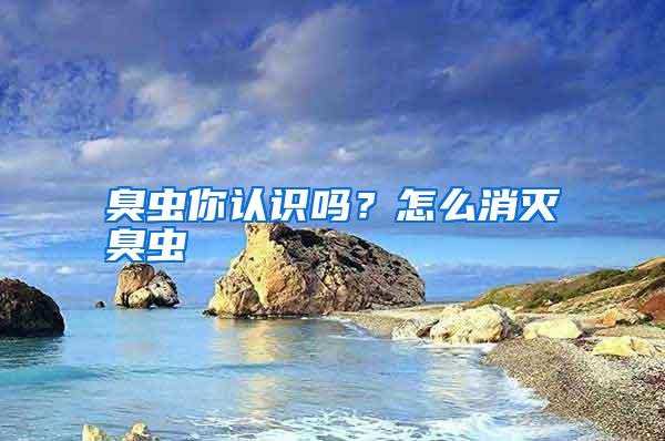 臭蟲你認識嗎?怎么消滅臭蟲