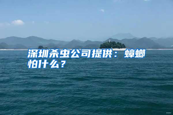 深圳殺蟲公司提供：蟑螂怕什么？