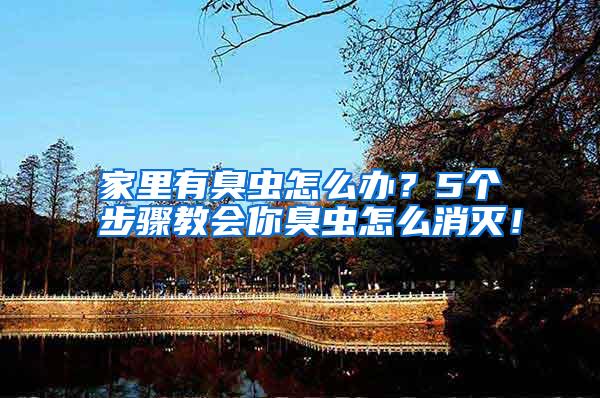家里有臭蟲怎么辦?5個步驟教會你臭蟲怎么消滅!