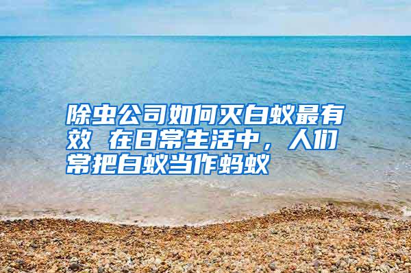 除蟲公司如何滅白蟻最有效 在日常生活中,人們常把白蟻當(dāng)作螞蟻