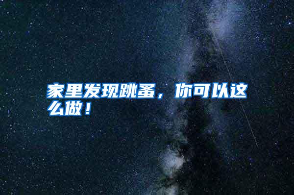 家里發(fā)現(xiàn)跳蚤,你可以這么做!
