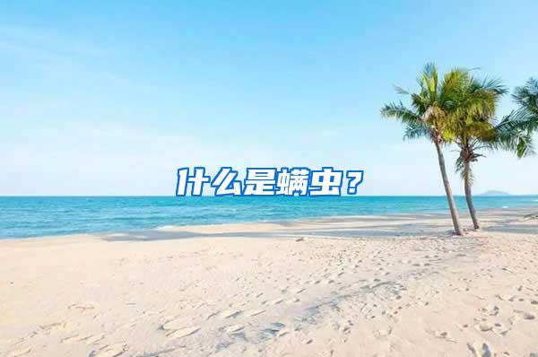 什么是螨蟲?