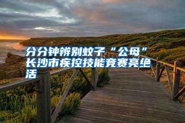 分分鐘辨別蚊子“公母” 長(zhǎng)沙市疾控技能競(jìng)賽亮絕活