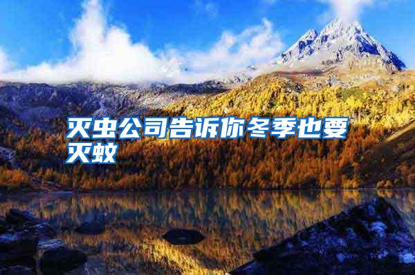 滅蟲公司告訴你冬季也要滅蚊