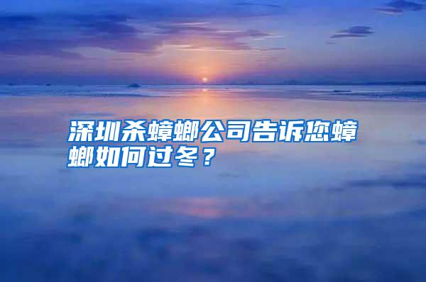 深圳殺蟑螂公司告訴您蟑螂如何過冬？
