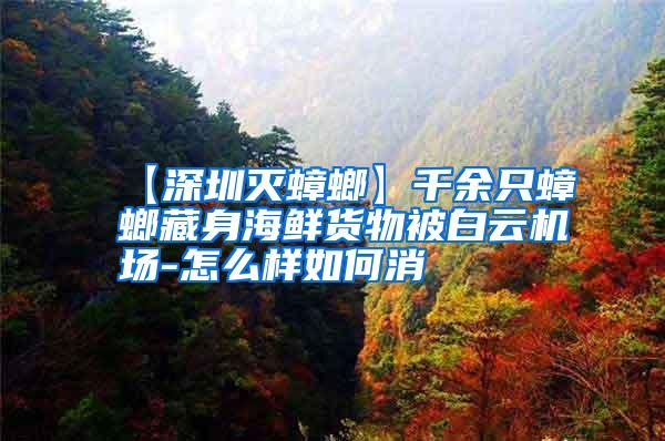 【深圳滅蟑螂】千余只蟑螂藏身海鮮貨物被白云機(jī)場-怎么樣如何消