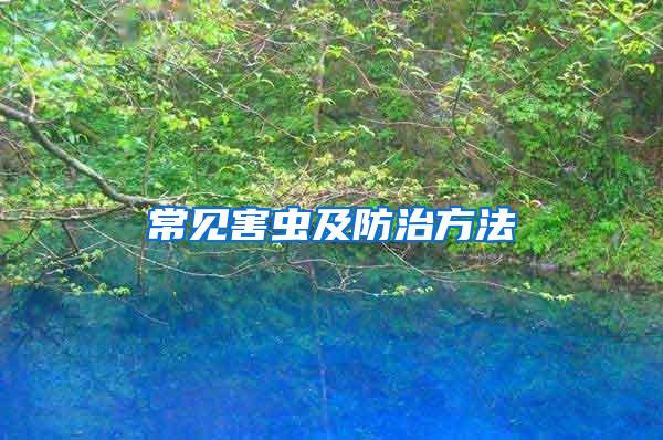 常見(jiàn)害蟲(chóng)及防治方法