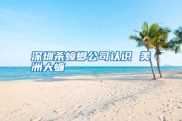 深圳殺蟑螂公司認(rèn)識(shí) 美洲大蠊