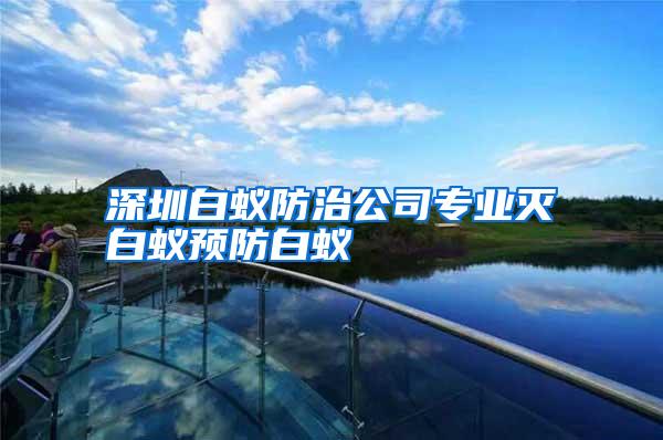 深圳白蟻防治公司專業(yè)滅白蟻預(yù)防白蟻