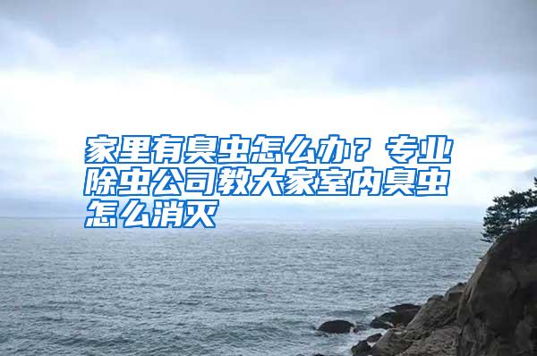家里有臭蟲(chóng)怎么辦?專業(yè)除蟲(chóng)公司教大家室內(nèi)臭蟲(chóng)怎么消滅