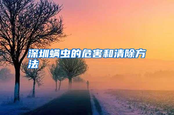 深圳螨蟲的危害和清除方法