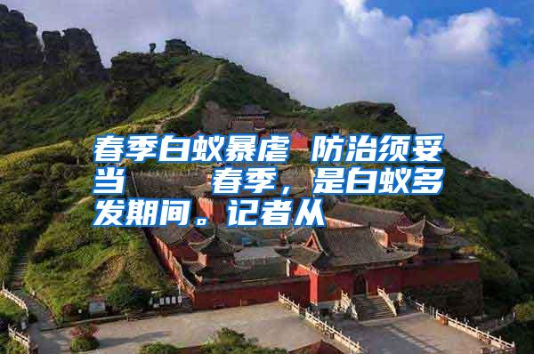 春季白蟻暴虐 防治須妥當(dāng) 春季,是白蟻多發(fā)期間。記者從