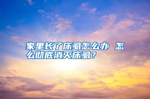 家里長了床虱怎么辦 怎么徹底消滅床虱?