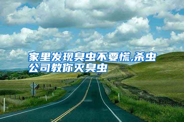 家里發(fā)現(xiàn)臭蟲(chóng)不要慌,殺蟲(chóng)公司教你滅臭蟲(chóng)