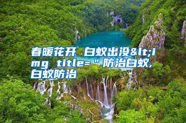 春暖花開 白蟻出沒<img title="防治白蟻,白蟻防治