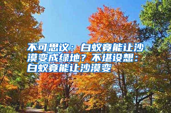 不可思議:白蟻竟能讓沙漠變成綠地?不堪設(shè)想:白蟻竟能讓沙漠變