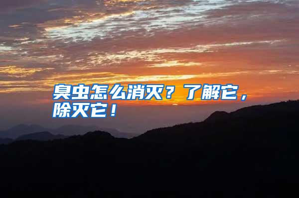 臭蟲怎么消滅?了解它,除滅它!