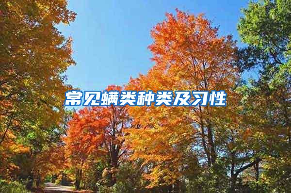 常見螨類種類及習性