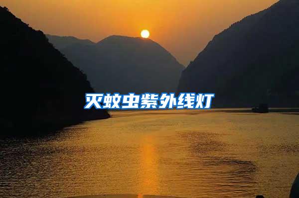 滅蚊蟲(chóng)紫外線燈