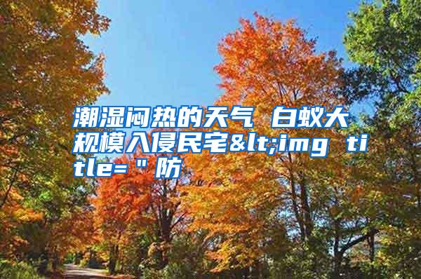 潮濕悶熱的天氣 白蟻大規(guī)模入侵民宅<img title="防