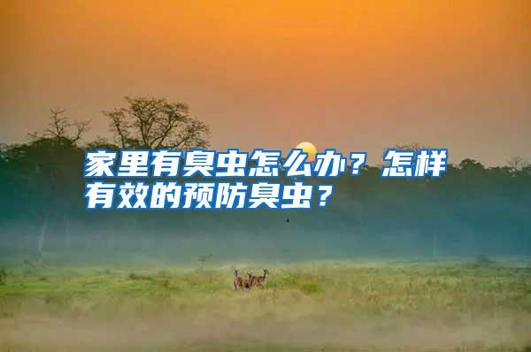 家里有臭蟲(chóng)怎么辦?怎樣有效的預(yù)防臭蟲(chóng)?