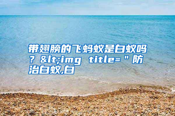 帶翅膀的飛螞蟻是白蟻嗎?<img title="防治白蟻,白