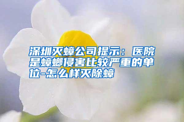 深圳滅蟑公司提示:醫(yī)院是蟑螂侵害比較嚴(yán)重的單位-怎么樣滅除蟑