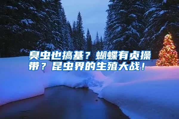 臭蟲也搞基?蝴蝶有貞操帶?昆蟲界的生殖大戰(zhàn)!