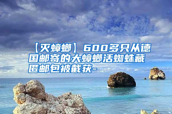 【滅蟑螂】600多只從德國郵寄的大蟑螂活蜘蛛藏匿郵包被截獲-