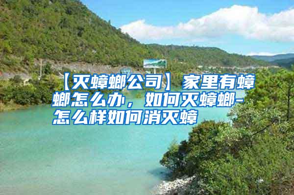 【滅蟑螂公司】家里有蟑螂怎么辦,如何滅蟑螂-怎么樣如何消滅蟑