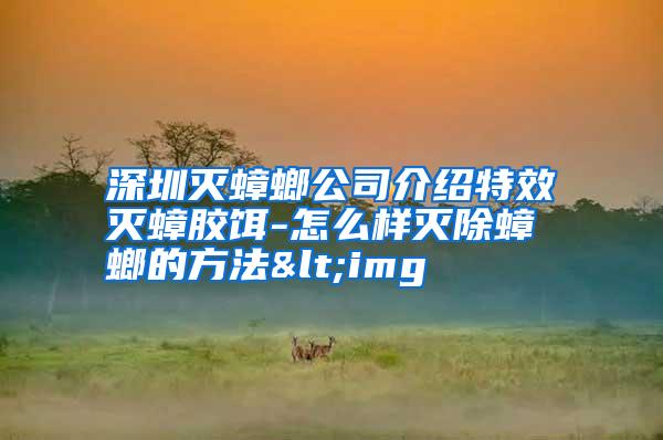 深圳滅蟑螂公司介紹特效滅蟑膠餌-怎么樣滅除蟑螂的方法<img