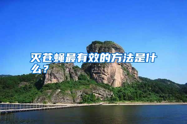 滅蒼蠅最有效的方法是什么?