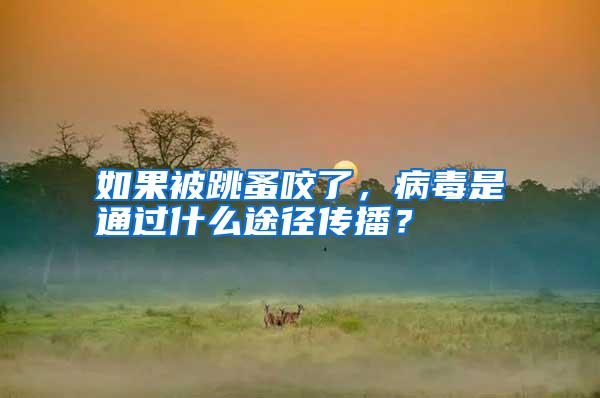 如果被跳蚤咬了,病毒是通過(guò)什么途徑傳播?