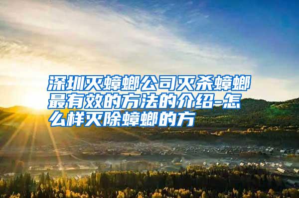 深圳滅蟑螂公司滅殺蟑螂最有效的方法的介紹-怎么樣滅除蟑螂的方