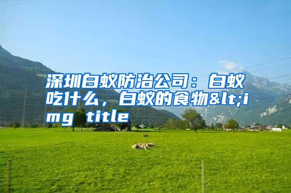 深圳白蟻防治公司:白蟻吃什么,白蟻的食物<img title