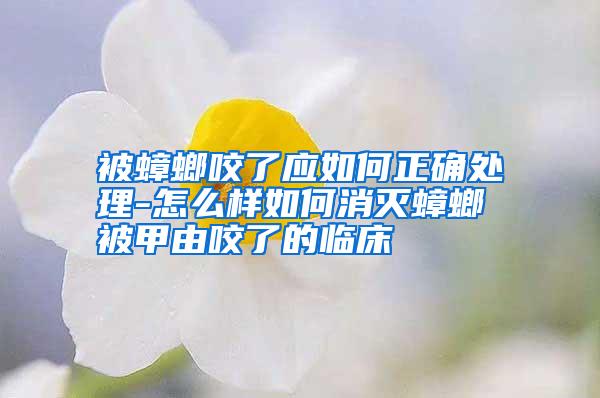 被蟑螂咬了應(yīng)如何正確處理-怎么樣如何消滅蟑螂被甲由咬了的臨床