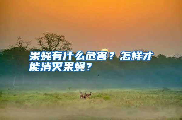 果蠅有什么危害?怎樣才能消滅果蠅?