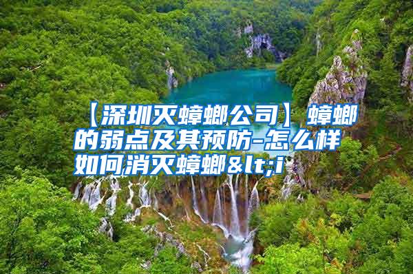 【深圳滅蟑螂公司】蟑螂的弱點(diǎn)及其預(yù)防-怎么樣如何消滅蟑螂<i
