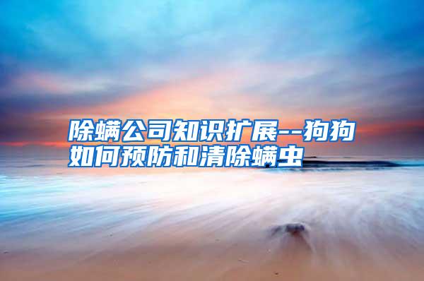 除螨公司知識(shí)擴(kuò)展--狗狗如何預(yù)防和清除螨蟲(chóng)