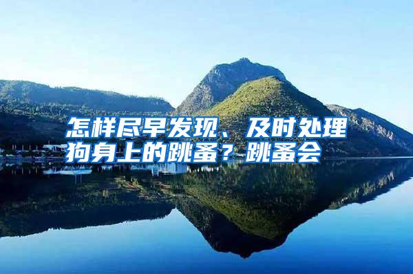 怎樣盡早發(fā)現(xiàn)、及時處理狗身上的跳蚤?跳蚤會