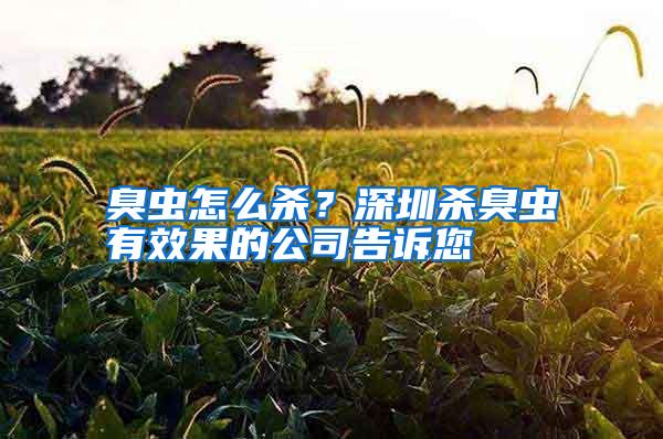 臭蟲怎么殺?深圳殺臭蟲有效果的公司告訴您