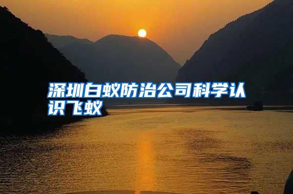 深圳白蟻防治公司科學(xué)認(rèn)識飛蟻