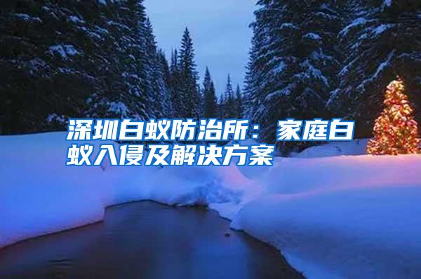 深圳白蟻防治所:家庭白蟻入侵及解決方案