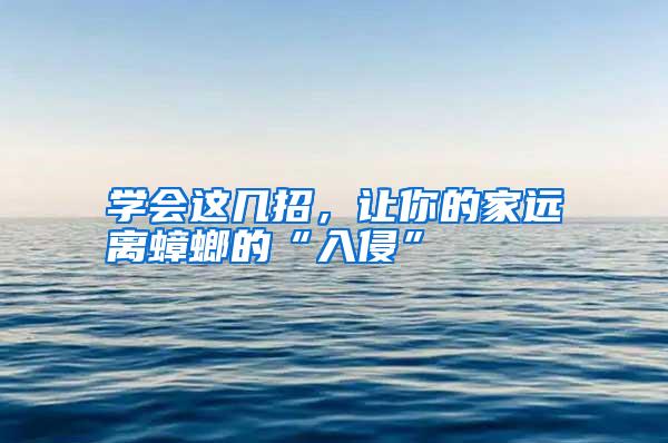 學(xué)會(huì)這幾招,讓你的家遠(yuǎn)離蟑螂的“入侵”