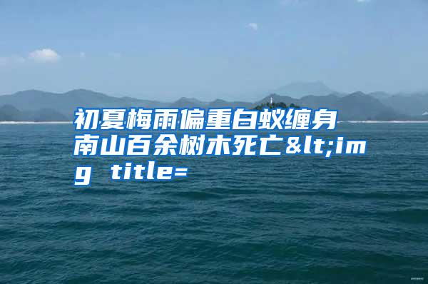 初夏梅雨偏重白蟻纏身 南山百余樹木死亡<img title=