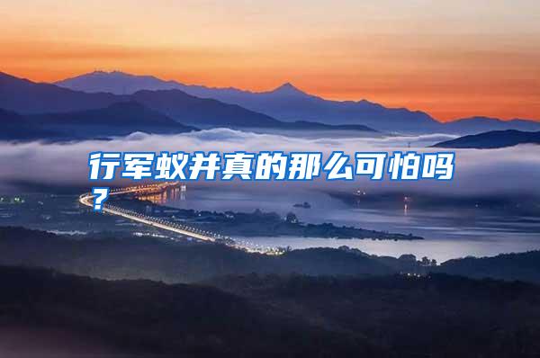 行軍蟻并真的那么可怕嗎?